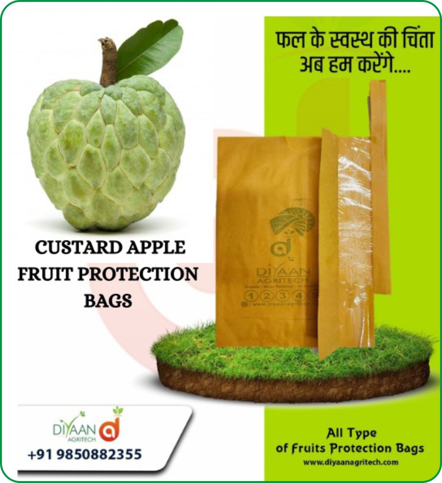 Custard Apple Protection Bags