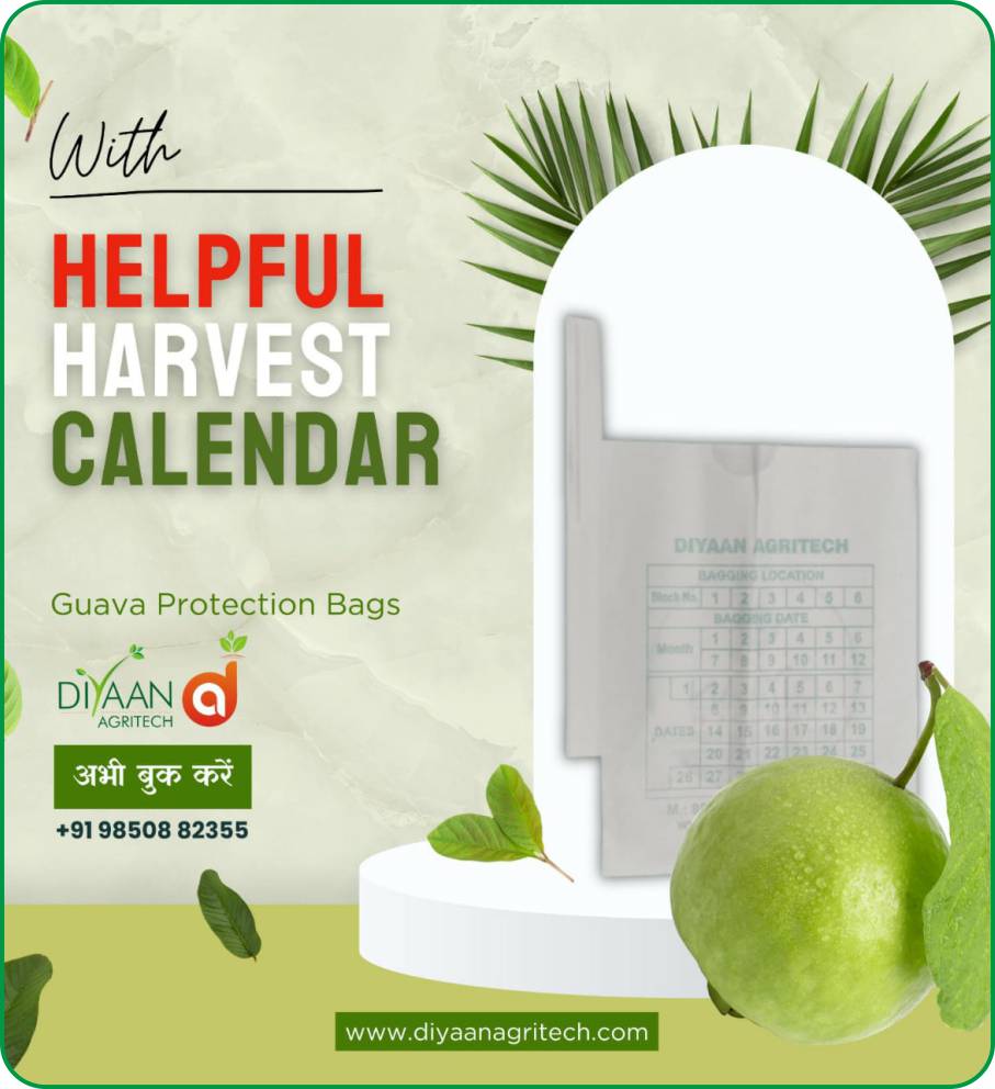 Guava Protection Bags